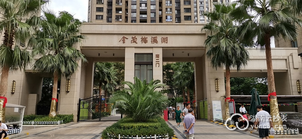 小區(qū)物業(yè)遠(yuǎn)程預(yù)付費抄表系統(tǒng)案例——金茂梅溪湖