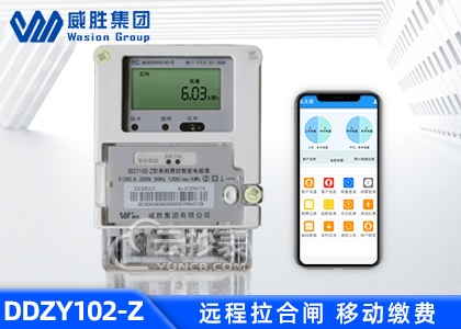 長(zhǎng)沙威勝DDZY102-Z無線NB單相電表